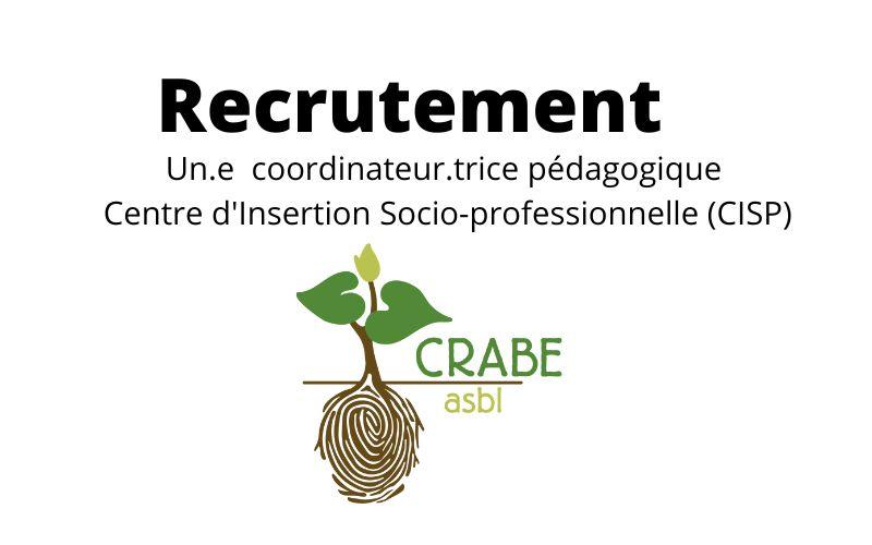 Offre Cl Tur E Nous Recrutons Un E Coordinateur Trice Pour Notre