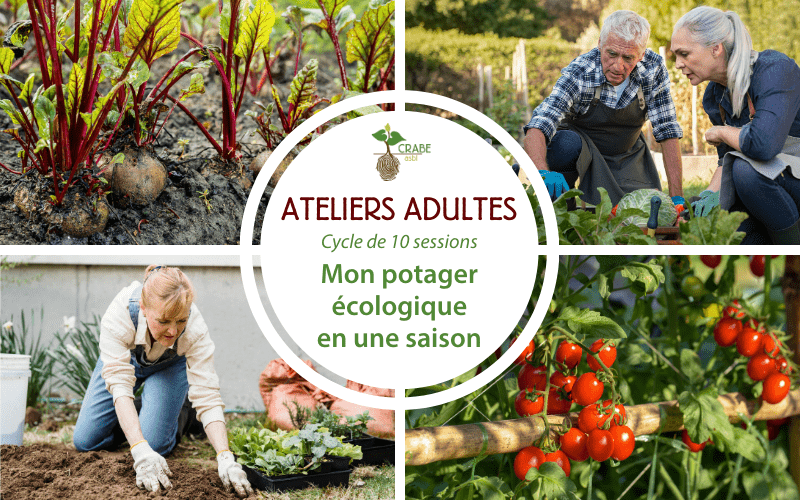 Graines de maraicher - Cycle d’ateliers Mon potager écologique en une saison