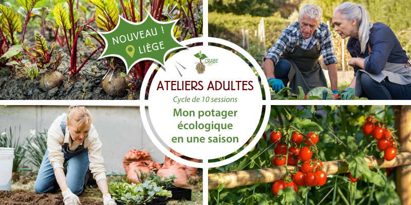 Mon potager écologique en une saison à Liège Mon potager écologique en une saison à Liège