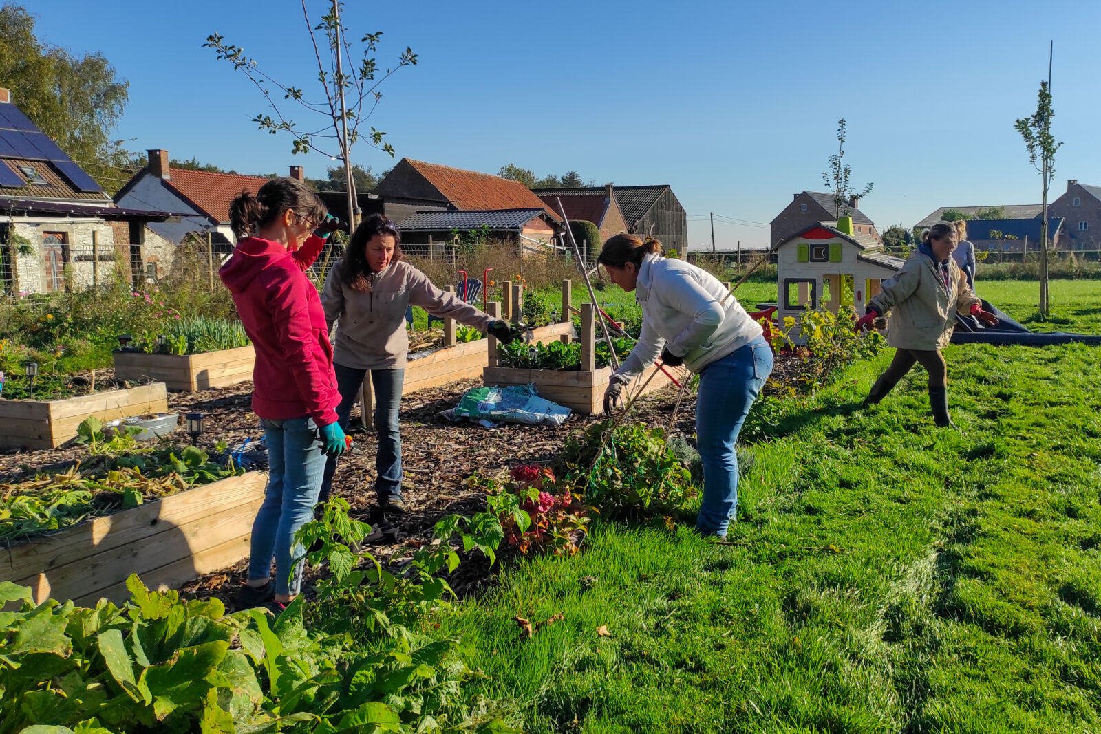 Graines de maraicher - Mon potager écologique en une saison Graines de maraicher - Mon potager écologique en une saison