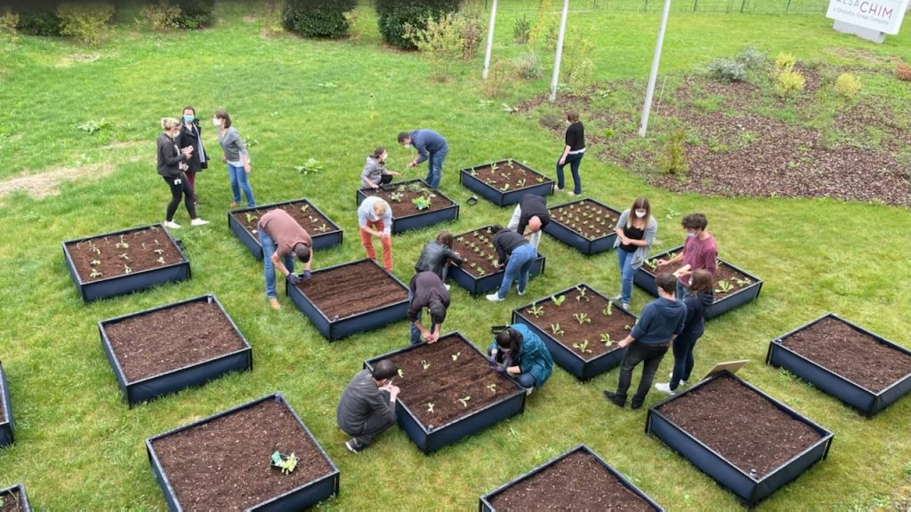 Les marchés événements du Crabe à Jodoigne