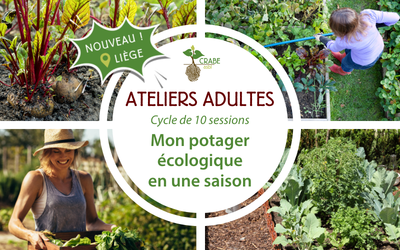 Cycle d&rsquo;ateliers «Mon potager écologique en une saison» également à Liège en 2026!