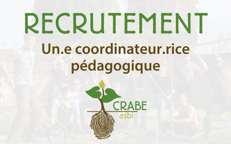 Nous recrutons un.e coordinateur.rice pédagogique