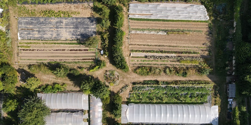Potager du château des Cailloux - Jodoigne - Brabant wallon