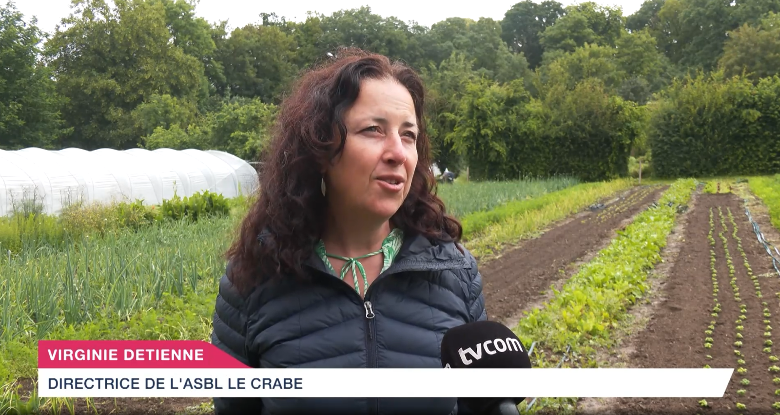 Émission Les Colibris - Reportage vidéo - Juillet 2024